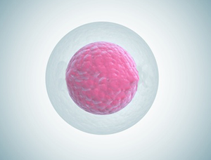 HPV 尖圭(せんけい)コンジローマ